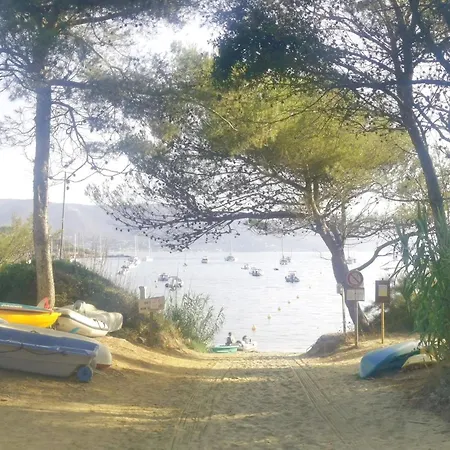 Beach Summer Les Mimosas